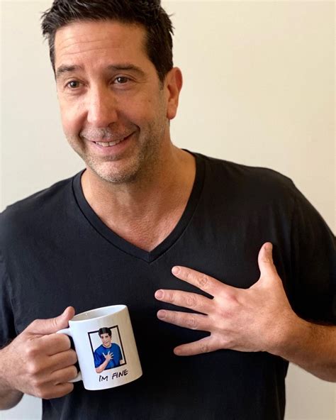 david schwimmer instagram|david schwimmer pics.